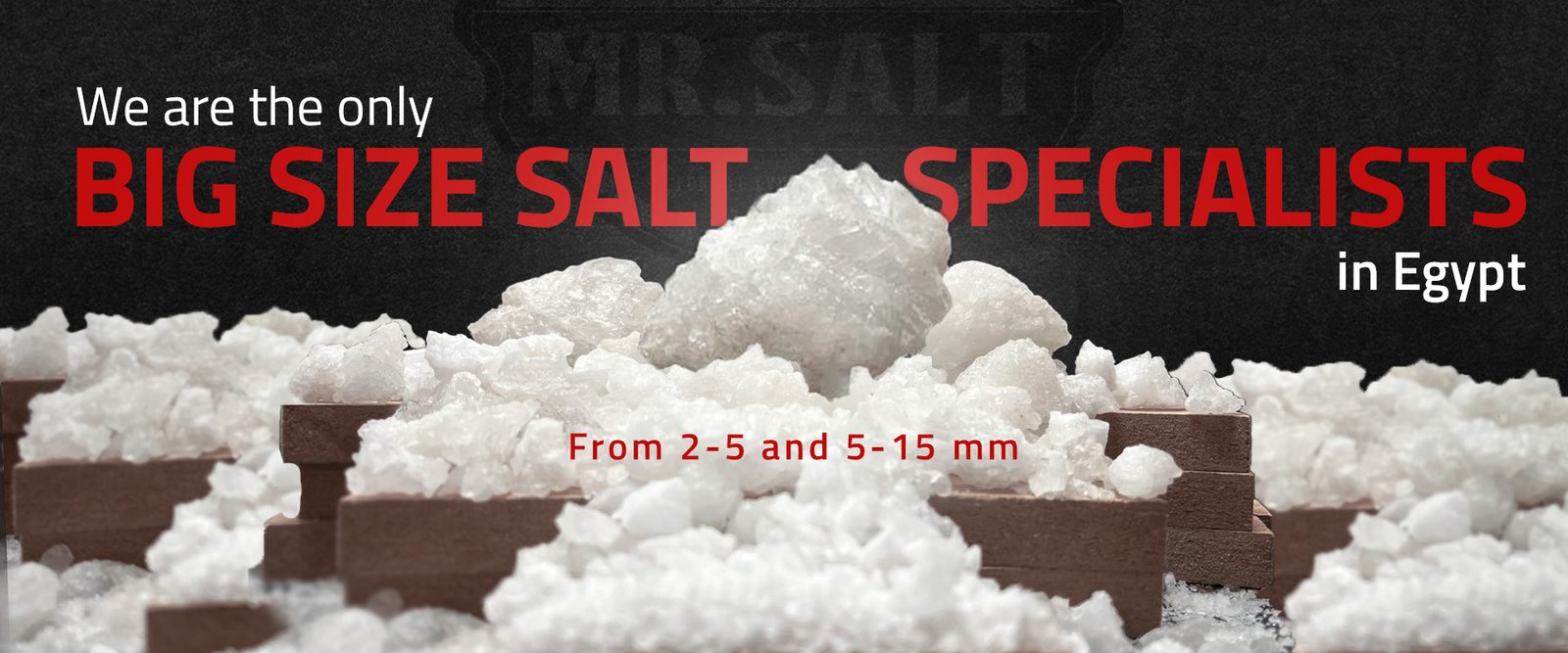 Big Size Salt