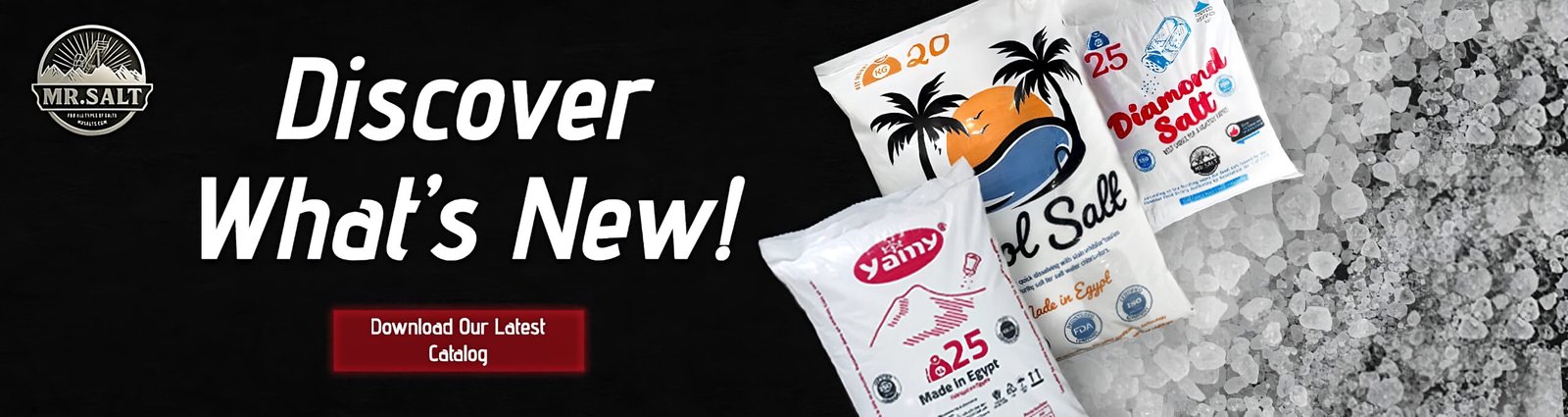 upscalemedia transformed 1 final scaled