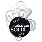 Home 45 Solix Refined edible salt food grade 10 kg