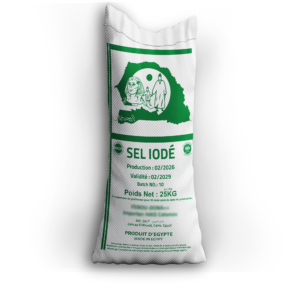 Sel Iodé Refined Sea Salt (25kg). Premium kitchen salt powder with high purity. Ideal for bulk export and food industry. Top quality by Mr. Salts. Contact us