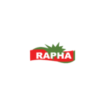 Brand RAPHA Table Salt | 25kg Bag | Fine Iodized Salt for Kitchen & Food Industry